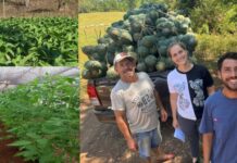 En San Javier impulsan la diversificación productiva con nuevos proyectos para productores locales La Misión Digital imagen-2