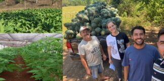 En San Javier impulsan la diversificación productiva con nuevos proyectos para productores locales La Misión Digital imagen-4