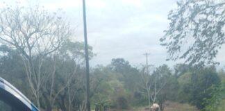 San Javier entra en etapa de evacuación por la crecida del río Uruguay La Misión Digital imagen-6