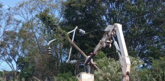 Alerta por fuertes vientos: Energía de Misiones desplegó cuadrillas en puntos afectados La Misión Digital imagen-3